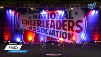 Flip House - Cobras [2024 L1.1 Mini - PREP - D2 Day 1] 2024 NCA San Marcos Classic