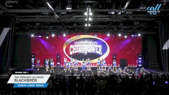 The Stingray Allstars - Blackbirds [2024 L3 Junior - Medium Day 1] 2024 Cheer Power Grand Nationals