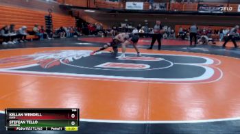 144 lbs Cons. Round 4 - Stefean Tello, Gooding vs Kellan Wendell, Elko