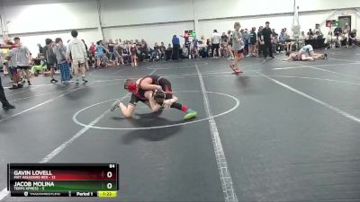 84 lbs Round 3 (4 Team) - Gavin Lovell, Mat Assassins Red vs Jacob Molina, Terps Xpress