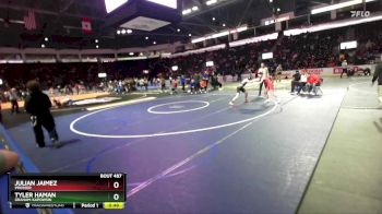 113 lbs Cons. Round 2 - Tyler Haman, Graham-Kapowsin vs Julian Jaimez, Prosser