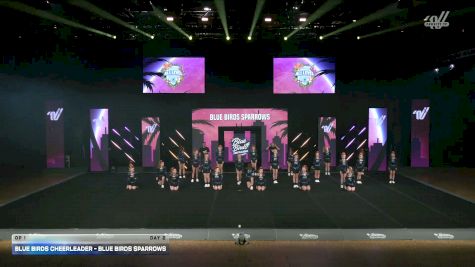 Blue Birds Cheerleader - Blue Birds SPARROWS [2026 OP 1 Day 2] 2026 Summer All Level Championship West