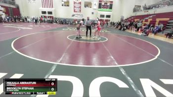 114 lbs Cons. Round 2 - Mikaiala Aberasturi, Homedale vs Brooklyn Stephan, Glenns Ferry