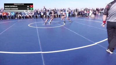 133 lbs Rr Rnd 1 - Gavin Caprella, Air Force vs Teegan Vasquez, The Citadel