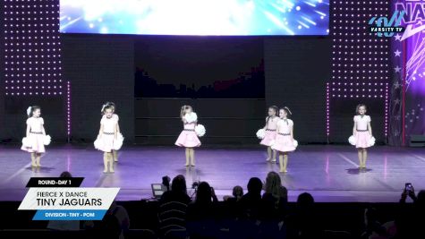 Fierce X Dance - Tiny Jaguars [2025 Tiny - Pom Day 1] 2025 JAMfest Dance Super Nationals