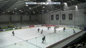 Replay: Home - 2025 Winnipeg vs Delta Green | Feb 21 @ 11 AM