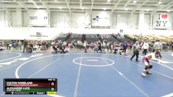 83 lbs Cons. Round 5 - Colton Moreland, Purple Eagles Wrestling Academy vs Alexander Luce, Club Not Listed