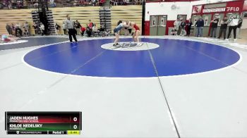 110 lbs Quarterfinal - Khloe Nedelsky, Mooresville vs Jaden Hughes, Frankton High School