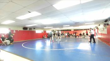 235 lbs Quarterfinal - Anna Bozanic, Liberty vs Erin Johnson, Palo Verde