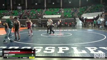 138 lbs Quarterfinal - Gabe Harris, St. John Paul II vs BROOKS BALENTINE, Deshler