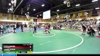 145 lbs Cons. Round 3 - Caiden Hogue, Palm Desert vs Tytus Dimmer, Clovis West