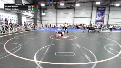 113 lbs Rr Rnd 3 - Beckett Nelson, Roughneck Wrestling Club vs Connor McLeod, Hanover Hawkeye