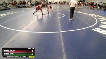 149 lbs Quarterfinal - Kaleb Smith, Roanoke College vs Casey Spina, Elizabethtown