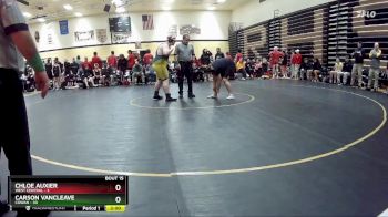 285 lbs Quarters & Wb (16 Team) - Carson VanCleave, Cowan vs Chloe Auxier, West Central