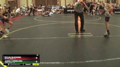 65 lbs Round 2 (6 Team) - Jaxon Candeloro, SVRWC Gold vs Dylan Silkowski, Revival White