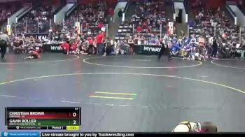 77 lbs Quarterfinals (8 Team) - Gavin Boller, South Lyon Matcats vs Christian Brown, Davison
