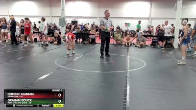 92 lbs Round 3 (6 Team) - Dominic Giannini, Savage WA vs Graham Gouck, New England Gold