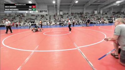 120 lbs Rr Rnd 1 - Nico DeRado, Princeton Wrestling Club vs Dale Wetherill, Broad Axe Wrestling Academy HS2