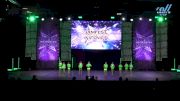 Blue Rose Dance Studio - Tiny Premier Pom [2025 Tiny - Pom Day 2] 2025 JAMfest Dance Super Nationals