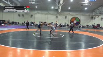 133 lbs Quarterfinal - AJ Orlando, Averett vs Chase Creque, Baldwin Wallace