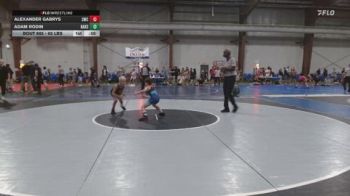 65 lbs Consolation - Alexander Gabrys, Streaks Wrestling Club vs Adam Rodin, Bars