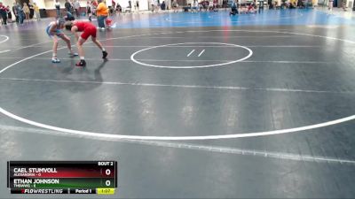 95 lbs Semis (4 Team) - Ethan Johnson, TMBWWG vs Cael Stumvoll, Alexandria