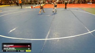 110 lbs Quarterfinal - Rayfe Walker, Z-M (Zumbrota/Mazeppa) vs Eric Schmidt, Springfield