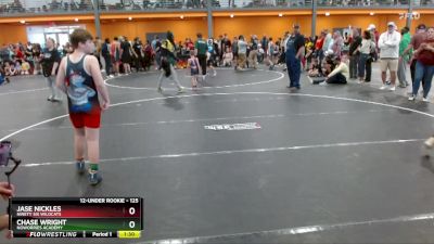 125 lbs Cons. Semi - Jase Nickles, Ninety Six Wildcats vs Chase Wright, NoWorries Academy