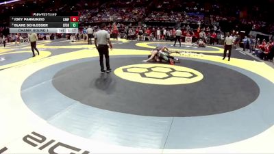 D2-175 lbs Champ. Round 1 - Joey Pannunzio, Canfield vs Blake Schlosser, Clear Fork