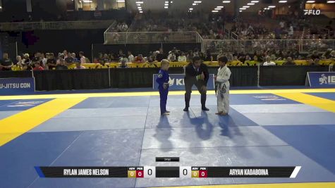 Aryan Kadaboina vs Rylan James Nelson 2025 Pan Kids Jiu-Jitsu IBJJF Championship