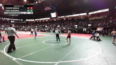 108 lbs 1st Place Match - Cooper Breslin, GFF3 vs Ziggy Sandobal, IWCA