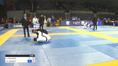 Vinicius Carvalho vs Alexandre Joaquim 2019 Pan Jiu-Jitsu IBJJF Championship