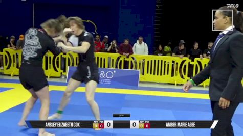 Amber Marie Agee vs Ansley Elizabeth Cox 2025 Pan IBJJF Jiu-Jitsu No-Gi Championship