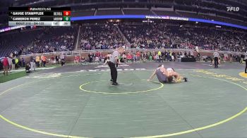 D4-132 lbs Cons. Round 3 - Cameron Perez, Lakeview vs Gauge Stampfler, Delton Kellogg