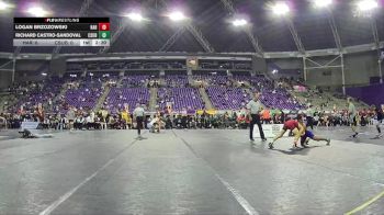 125 lbs Finals (2 Team) - Logan Brzozowski, Harvard vs Richard Castro-Sandoval, CSU Bakersfield