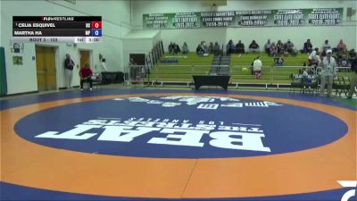 103 lbs Champ. Round 1 - Celia Esquivel, Bakersfield College vs Martha Ha, Moorpark