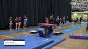 Kenley Didinsky - Women's Group, Scamps Gymnastics BGCK - 2021 Women's Xcel Region 4 Championships