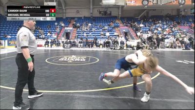 139 lbs 3rd Place - Camden Baum, Bishop McDevitt vs Michael McNeal, Derry Area