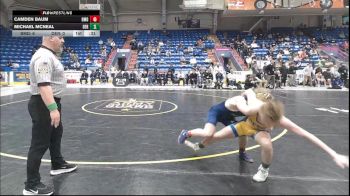 139 lbs 3rd Place - Camden Baum, Bishop McDevitt vs Michael McNeal, Derry Area