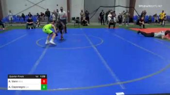 95 lbs Quarterfinal - Amari Vann, Delsea vs Anthony Caponegro, Cja