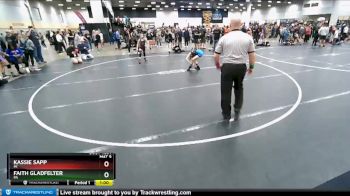 85 lbs Quarterfinal - Kassie Sapp, MI vs Faith Gladfelter, PA