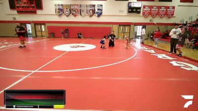 48-55 lbs Round 2 - Daniel Torres, Mat Demon Wrestling Club vs Luke Lobbestael, Sunnyside Ironman Wrestling