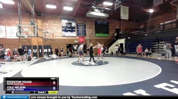 165 lbs Round 3 - Stockton Young, Weiser Wrestling vs Cole Nelson, Hammers Academy