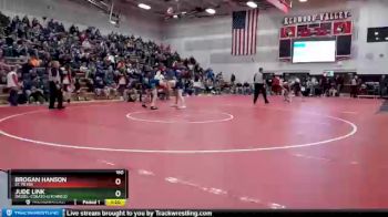 160 lbs Quarterfinal - Jude Link, Dassel-Cokato-Litchfield vs Brogan Hanson, St. Peter