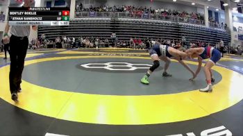 120 lbs Champ. Round 1 - Ethan Saneholtz, Napoleon vs Bentley Roelle, Liberty-Benton