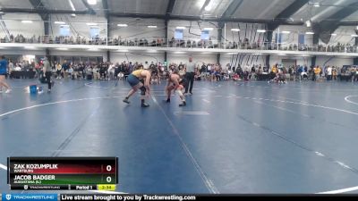 Elite 197 lbs Cons. Round 2 - Jacob Badger, Augustana (IL) vs Zak Kozumplik, Wartburg