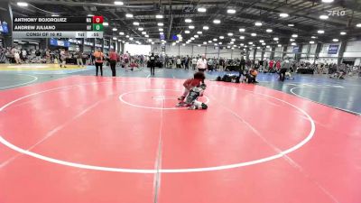 113 lbs Consi Of 16 #2 - Anthony Bojorquez, MA vs Andrew Juliano, NY