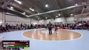 138 lbs Champ. Round 2 - Reagan Rosier, Strasburg vs Keagan D`Amico, Brighton