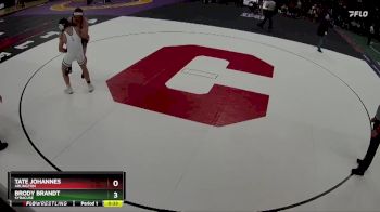 Cons. Round 2 - Brody Brandt, Syracuse vs Tate Johannes, Arlington