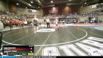 2A 165 lbs Quarterfinal - Morgan Tingey, Millard vs Alex Peacock, Enterprise